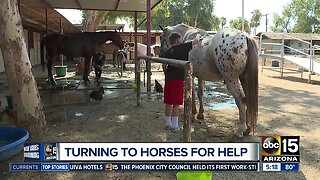 Turning to horses for help