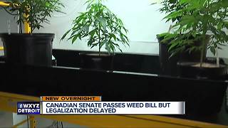 Should U.S. follow Canada's lead and legalize marijuana?
