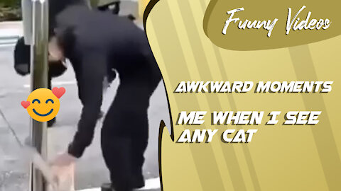Me When I See Any Cat - Awkward Moment