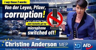 Corruption? Microphone switched off! - EU Parliament prevents investigation