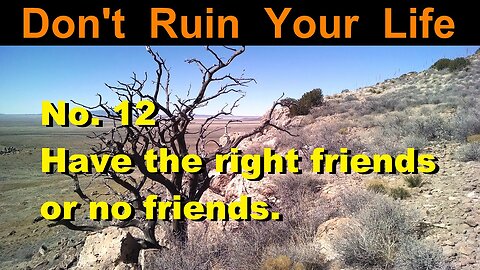 DRYL No. 12 | Have the right friends or no friends.