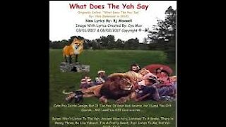 What Does The Yah Say?
