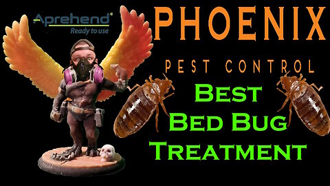 #1 Best Bed Bug Eliminator Aprehend
