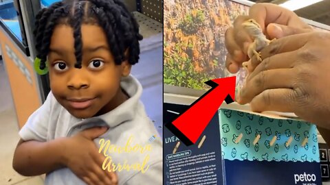 Lil Baby's Son Jason Buys His 1st Pet Lizard! 🦎