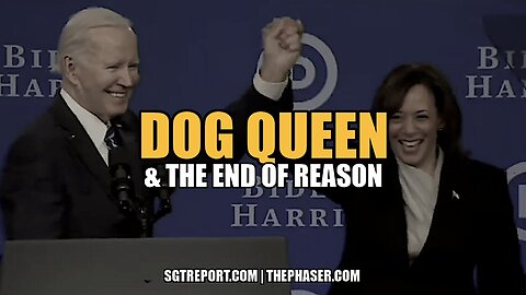SGT Report: DOG QUEEN & THE END OF REASON - 8/4/2024