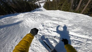 Brundage ~ Big Bumps