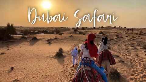 Desert Safari Dubai | Sand Dunes and Evening Show!