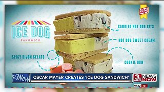 Ice Dog Sandwich