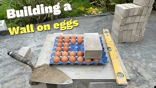 #shorts building a wall on eggs