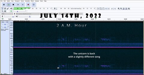 Raven Hill Audio Overnight July 13th and 14th, 2022