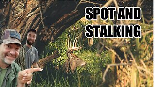 When should you spot and stalk a buck?