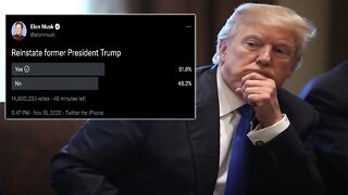 Donald Trump responds to Elon Musk's Twitter poll! This is HUGE!