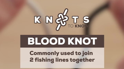 Knots to Know: Blood Knot