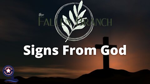 The Fallen Branch | Signs From God