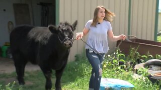 4-H participants urge Wisconsin State Fair leaders to allow shows
