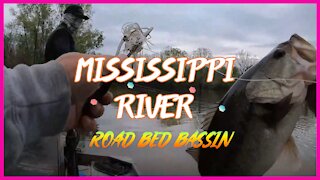 Mississippi River Road Bed Bassin!