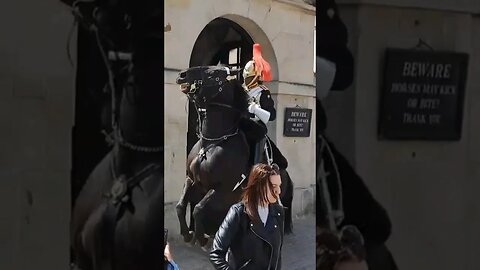 Horse spooked by bikes 🏍 #horseguardsparade