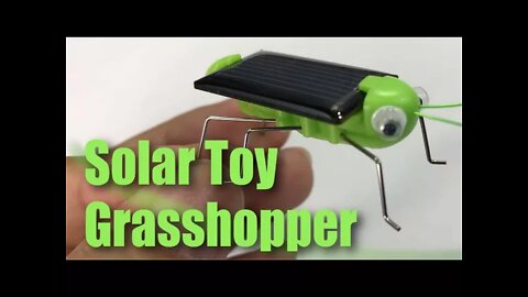 Solar Powered Grasshopper Learning Toy Review