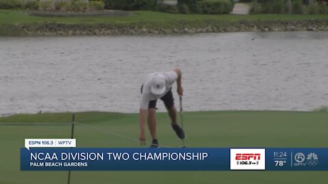 NCAA Division 2 golf championship