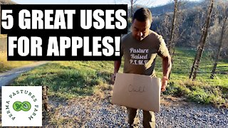 5 Permaculture Uses For Apples