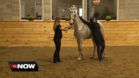 Brighton Equestrian Club offers horse yoga