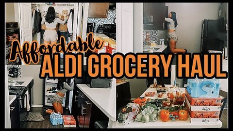 *NEW* AFFORDABLE ALDI GROCERY HAUL & GROCERY PUT AWAY 2021 | TWICE A MONTH GROCERY SHOP|ez tingz