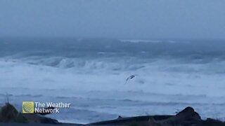 Strait of Georgia rages with strong winds