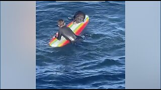Sea Otter Seen Stealing Surfboards in CA