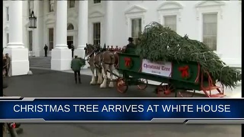 White House Welcomes 2018 Christmas tree