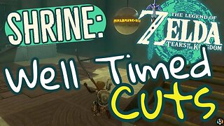 Well Timed Cuts Shrine Walkthrough Tears of the Kingdom