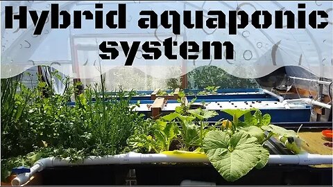 Hybrid aquaponics system (update)