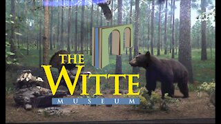 Day at Witte Museum - San Antonio, 4k Video