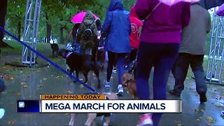 Mega March For Animals