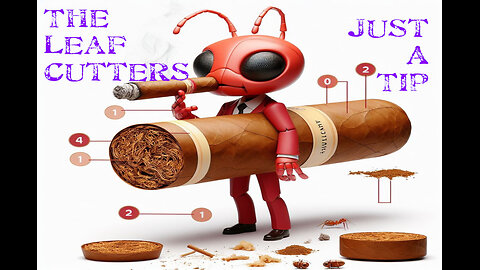 Just A Tip: What are the Parts of a Cigar?