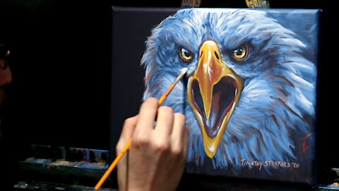 Acrylic Wildlife Painting of a Bald Eagle - Time Lapse - Artist Timothy Stanford