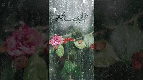 Amire Bi Gazand - The Harmless Ruler - Song By Mohsen Chavoshi