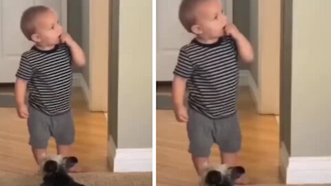 'Pet me': puppy dog begs for distracted toddler's attention.