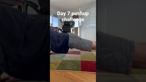 Day 7 pushup challenge