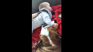 Bulldog and baby preciously nap together