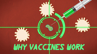 Why Vaccines Work