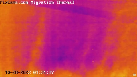 Fall Migration 2022 Thermal Camera - Captured on 10/28/2022 Nocturnal Flight Calls
