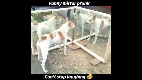 mirror prank
