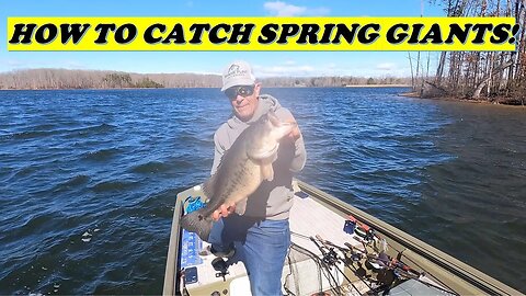 How to Catch Giant Spring Bass! #fishing #how