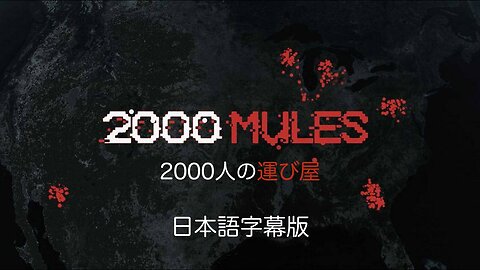 2000MULES 2000人の運び屋 日本語字幕版