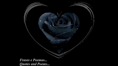 The black rose is special, it is pure darkness, brings the death... [Poetry] [Quotes and Poems]
