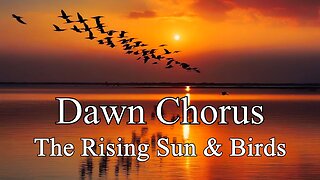 The Dawn Chorus: The Rising Sun & Birds