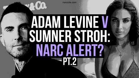 Adam Levine v Sumner Stroh : Narc Alert? Part 2