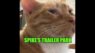 Spike's Trailer Park Live #58