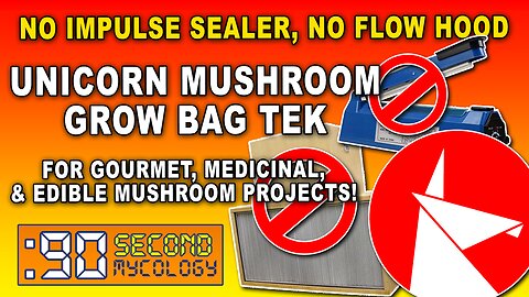 No Impulse Sealer, No Flow Hood Unicorn Bag Tek \\ Growing Chestnut Mushrooms!