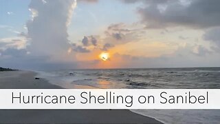 Looking for seashells after a hurricane. I had Sanibel Island to myself!